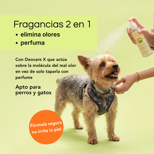 Beneficios fragancia Go Paw